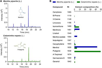 Anti-Hyperalgesic Properties of Menthol and Pulegone